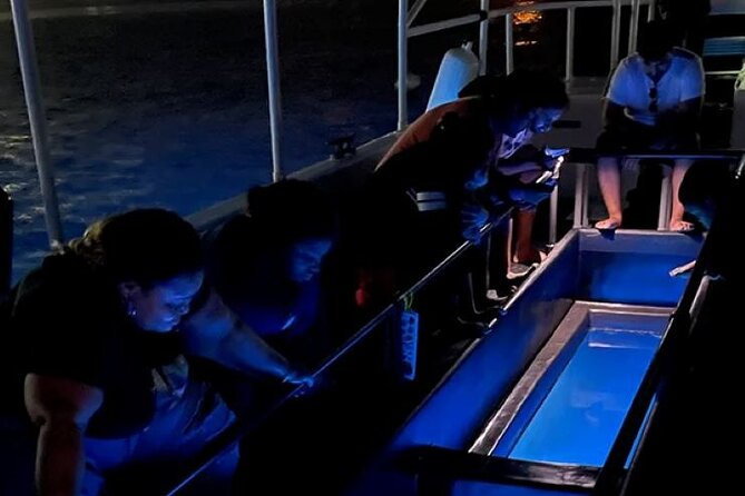 2 Stop Reef Snorkel and Glass Bottom Boat Adventure - Gear, fitness, and comfort