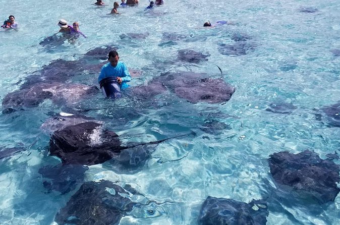 3 Stop Boat Tour Stingray City Coral Gardens and Starfish Point - Coral Gardens or the Barrier Reef beneath the boat