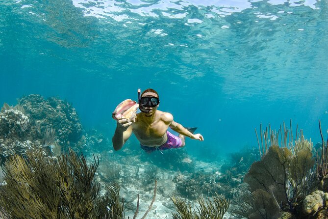 4 hour Private Boat charter to Stingray City, Snorkeling and More - Starfish Beach for a slower stop
