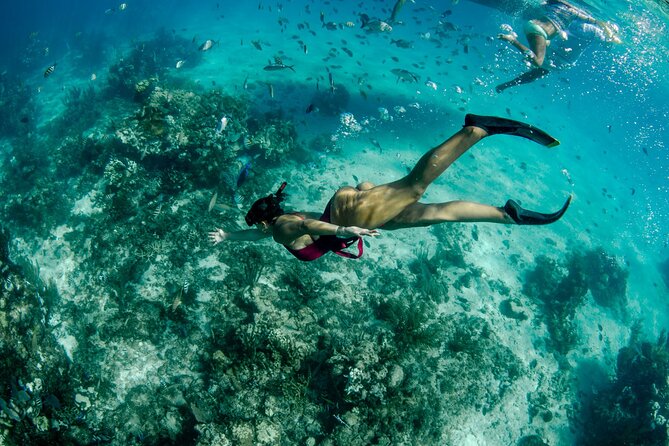 4 hour Private Boat charter to Stingray City, Snorkeling and More - Is $900 a good value for up to 10 people?