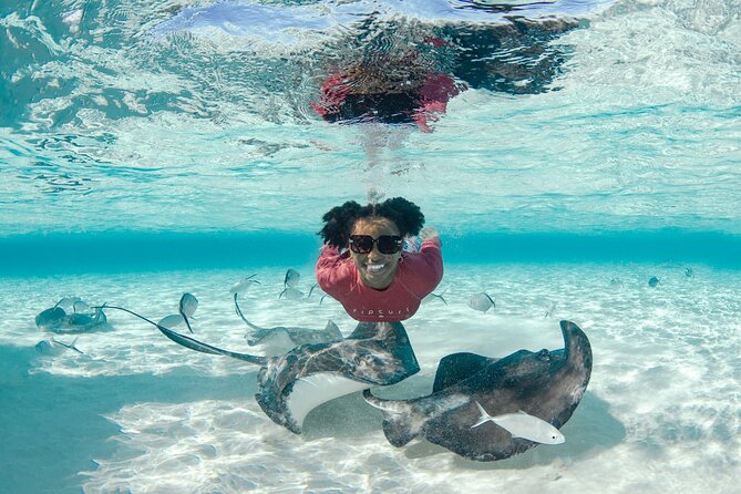 4 hour Private Boat charter to Stingray City, Snorkeling and More - Stingray City: the main event