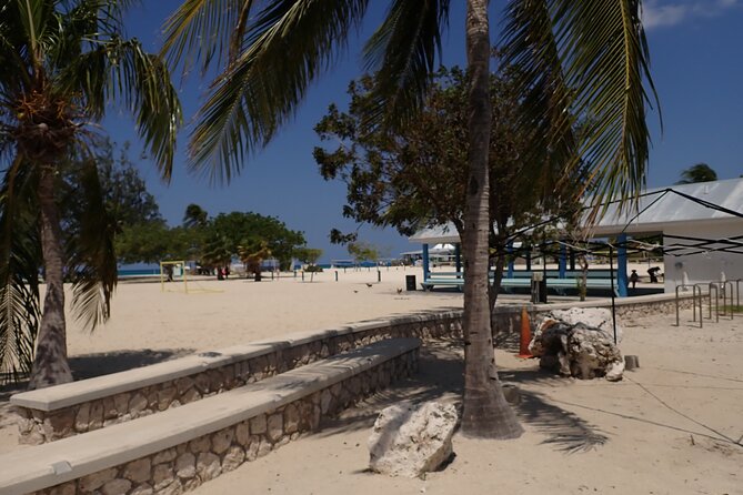4-Stop Stingray, Snorkel, Star Fish & 7 Mile Beach (Family Owned) - What the $85 price really includes