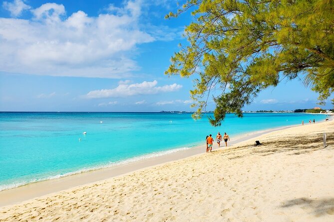 4 Stops Tour: Stingray, Snorkeling, Starfish & 7 Mile Beach - Stingray City gives the tour its main event