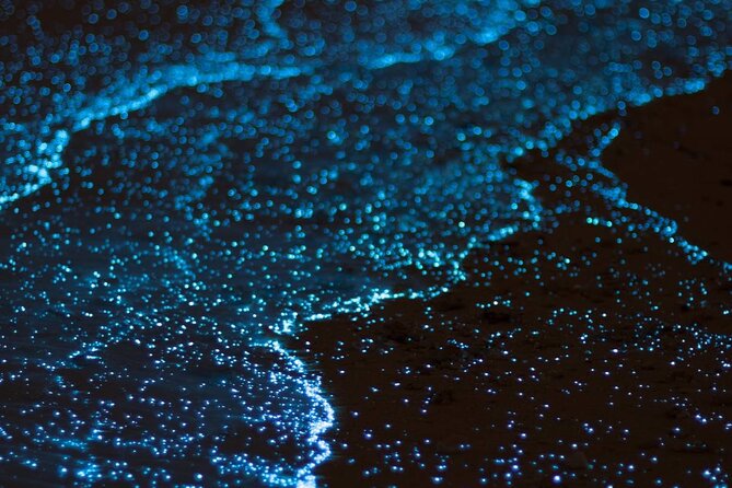 Bioluminescent Bay Adventure in Grand Cayman - Why Grand Cayman’s Bio Bay feels different at night
