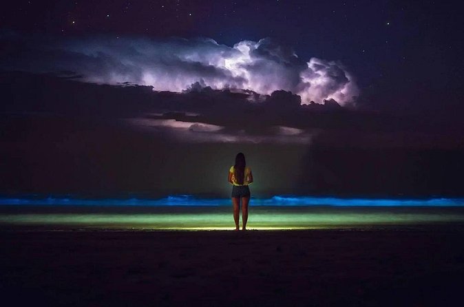 Bioluminescent Bay Adventure in Grand Cayman - The biggest risk: nature controls the show