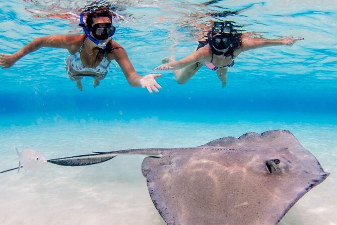 Cayman Adventure: Starfish Point, Stingray City and Coral Gardens - Starfish Point is slower and gentler