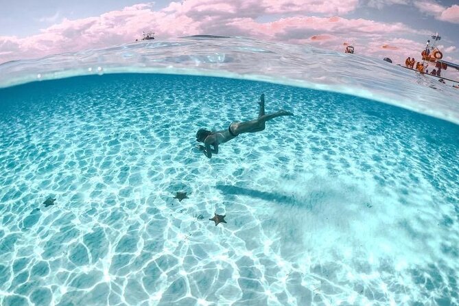 Cayman Adventure: Starfish Point, Stingray City and Coral Gardens - What a three-hour schedule really means