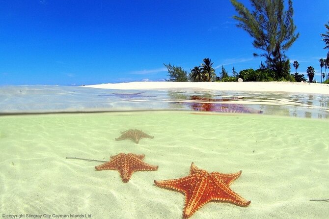 Cayman Adventure: Starfish Point, Stingray City and Coral Gardens - The boat, equipment, and refreshments
