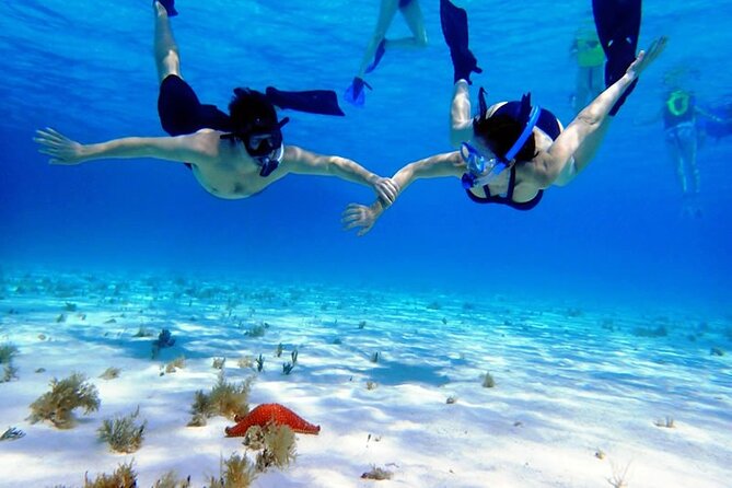 Cayman Adventure: Starfish Point, Stingray City and Coral Gardens - Is $107.10 a fair price?