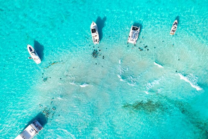 Cayman Adventure: Starfish Point, Stingray City and Coral Gardens - Who will enjoy this excursion most