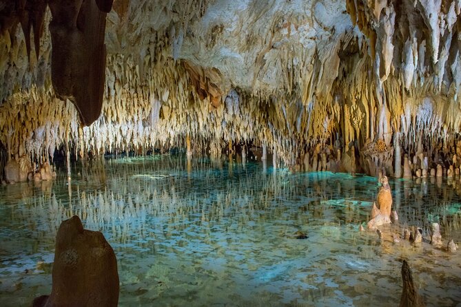 Cayman Combo Tour: Stingrays, Starfish Point and Crystal Caves - Key details to know before booking