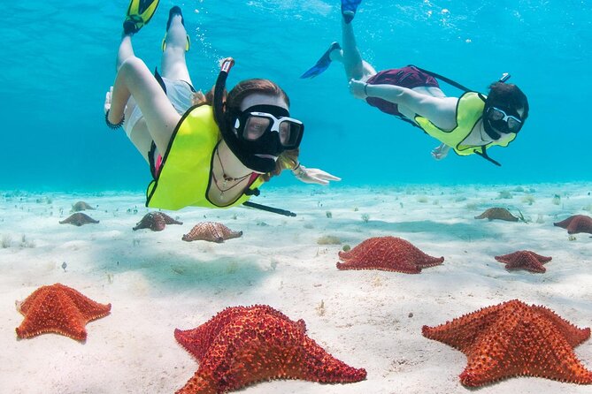 Cayman Combo Tour: Stingrays, Starfish Point and Crystal Caves - A short, peaceful stop at Starfish Point
