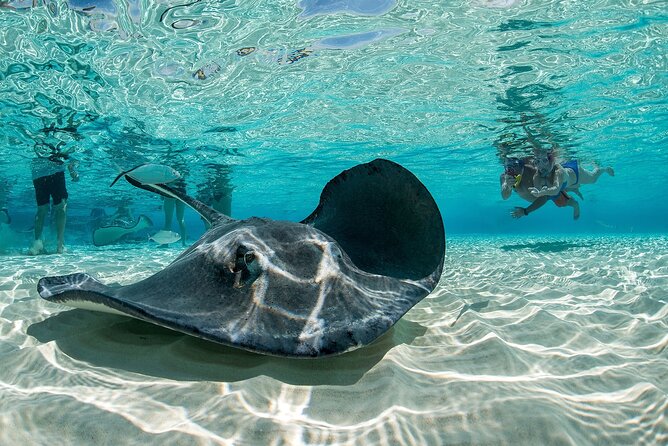 Cayman Combo Tour: Stingrays, Starfish Point and Crystal Caves - Walking through Cayman Crystal Caves