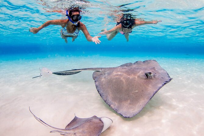 Cayman Combo Tour: Stingrays, Starfish Point and Crystal Caves - What the $109 price really covers