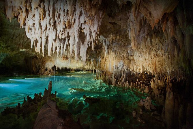 Cayman Combo Tour: Stingrays, Starfish Point and Crystal Caves - Who should book this outing