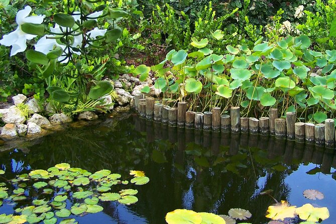 Cayman Crystal Caves & Pedro St James Castle or Botanical Garden - Is $257.15 per person a fair price?