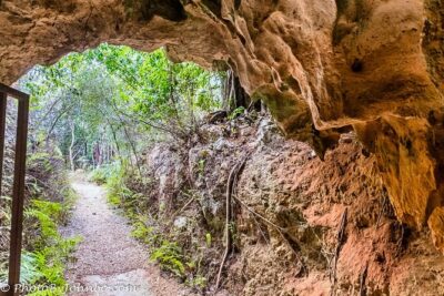 Cayman Crystal Caves Tour in Grand Cayman