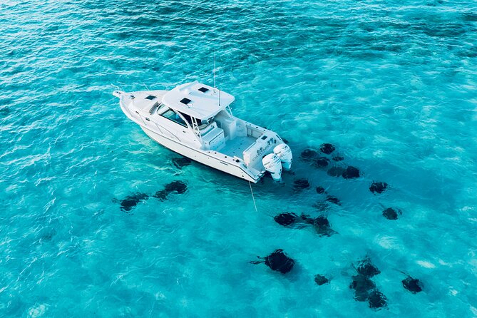 Cayman Private Luxury Charters - Stingray City, Snorkel, & More - How the private format affects the value