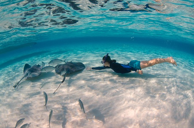 CaymanVisitor Hide & Seek GeoTour Self-Drive Tour - Blue Iguanas and local identity