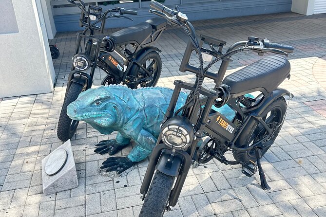 Coastal E-Bike Adventure: Full-Day Self-Guided Tour Grand Cayman - Key points to know before you ride