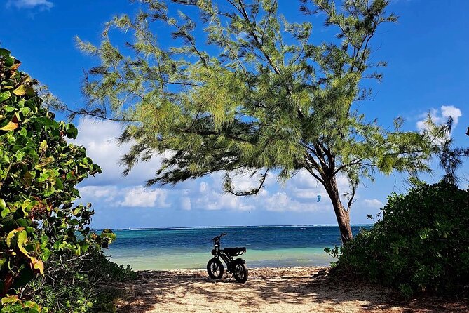 Coastal E-Bike Adventure: Full-Day Self-Guided Tour Grand Cayman - Tortuga Rum Cake Factory as the final reward