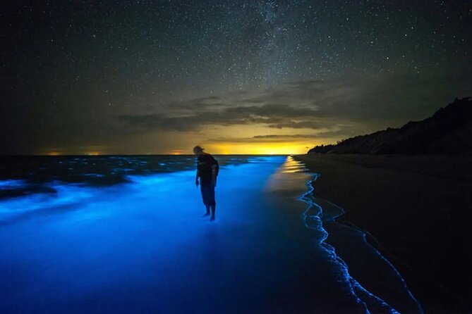Grand Cayman Bioluminescence Adventure - Key points before you book