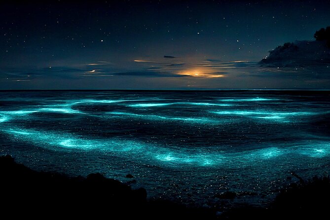 Grand Cayman Bioluminescence Adventure - Starfish Point at sunset