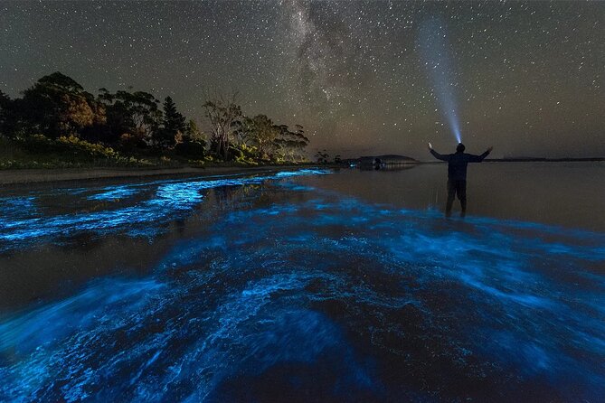 Grand Cayman Bioluminescence Adventure - What the $143.10 price really covers