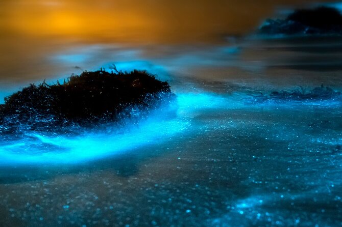 Grand Cayman Bioluminescence Adventure - Timing, moonlight, and weather