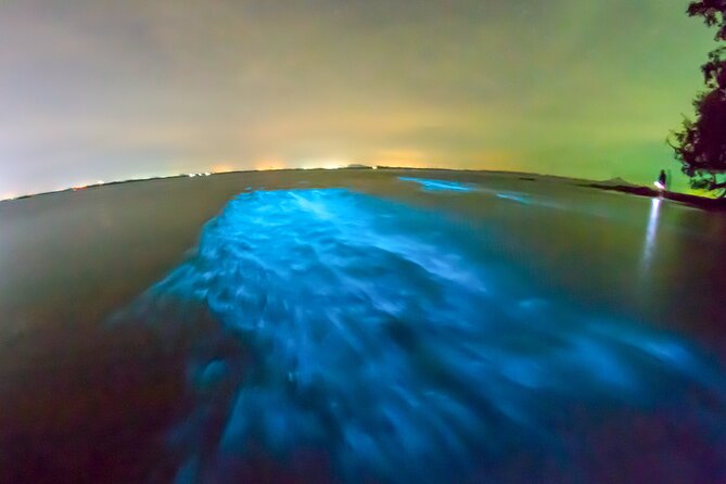 Grand Cayman Bioluminescence Adventure - Getting ready for a night on the water