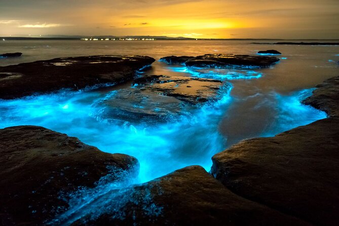 Grand Cayman Bioluminescence Adventure - The main strengths and the real drawbacks