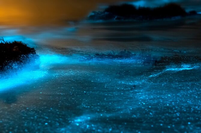 Grand Cayman Bioluminescence Experience - How bright will the bioluminescence be?