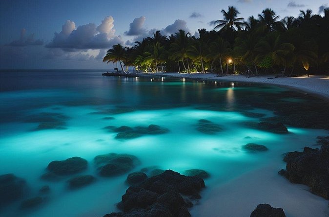 Grand Cayman Bioluminescence Experience - Timing: why the three-hour estimate needs context