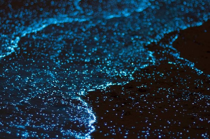 Grand Cayman Bioluminescence Experience - What to pack for the night