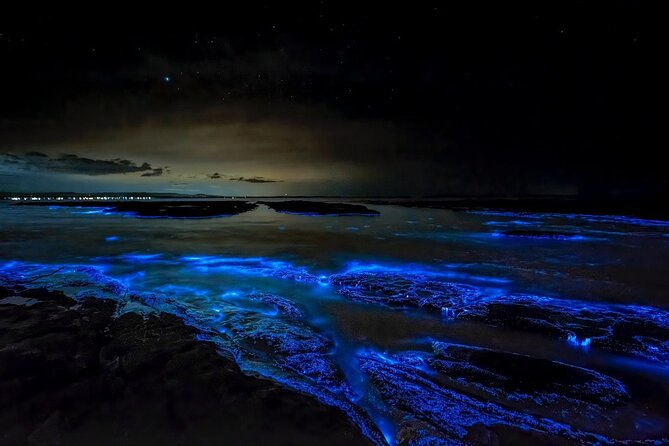 Grand Cayman Bioluminescence Experience - The ride to Starfish Point
