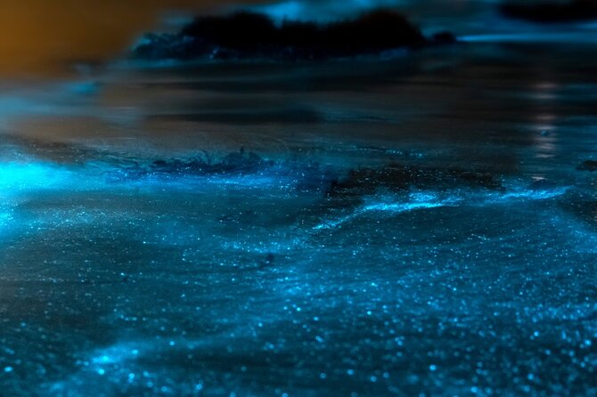 Grand Cayman Bioluminescent Bay Adventure - The crew and the tone of the evening