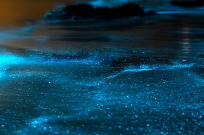 Grand Cayman Bioluminescent Bay Adventure - Timing, weather, and practical limits