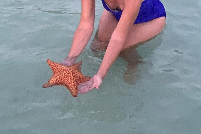 Grand Cayman - Bioluminescent Bay Tour - Why the bioluminescent bay is the real attraction