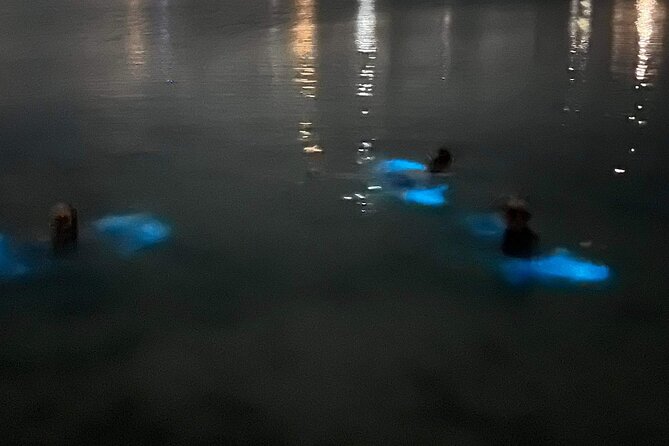Grand Cayman - Bioluminescent Bay Tour - Small details that can make the night better