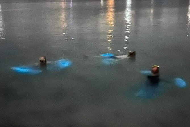 Grand Cayman - Bioluminescent Bay Tour - Should you book the Grand Cayman bioluminescent bay tour?