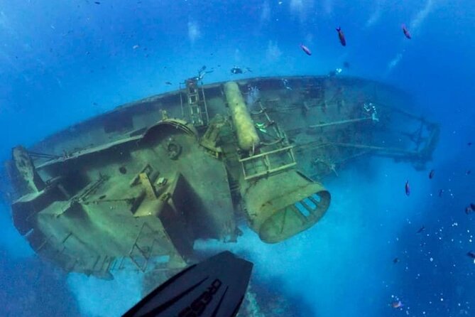 Grand Cayman Kittiwake and Reef Sail - How the Crew and Group Size Shape the Day
