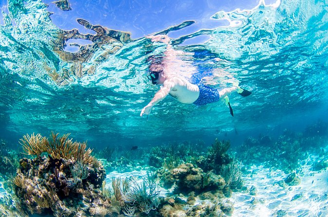 Grand Cayman Kittiwake and Reef Sail - Booking, Cancellation, and Practical Details