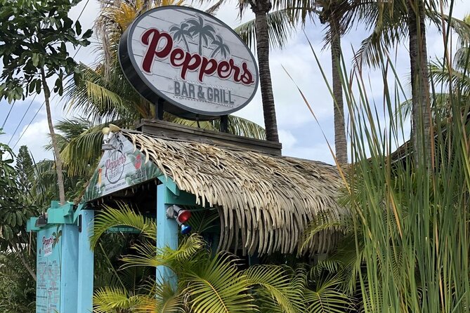 Grand Cayman Private Customized Bus Tour - Turtles, Devil’s Grotto, and Hell