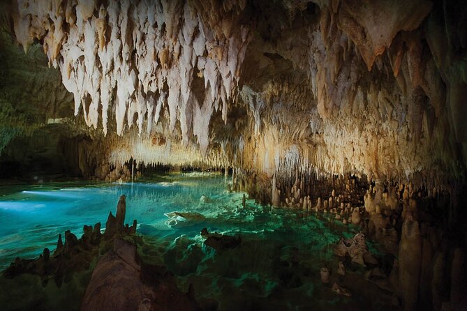 Grand Cayman Private Customized Bus Tour - The 9 a.m. and 6 p.m. choices
