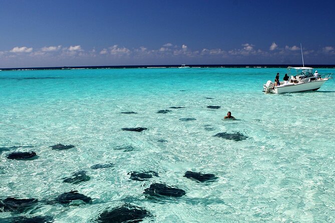Grand Cayman Stingray City and Reef Snorkeling Combo Tour - Why Stingray City is the main event