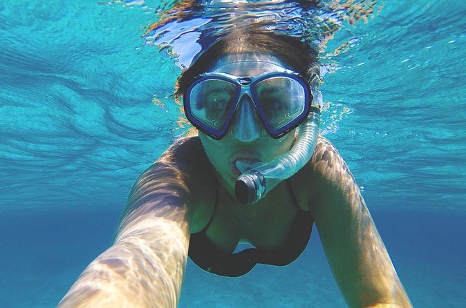 Grand Cayman Stingray City and Reef Snorkeling Combo Tour - My take: book it if you want two classic stops in one morning