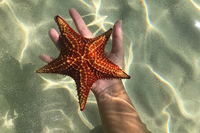 Half Day Private Boat Charter in Grand Cayman - Is $750 good value?