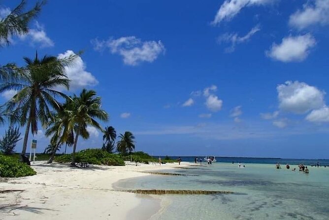 Half Day Private Boat Charter in Grand Cayman - Who should book this charter?