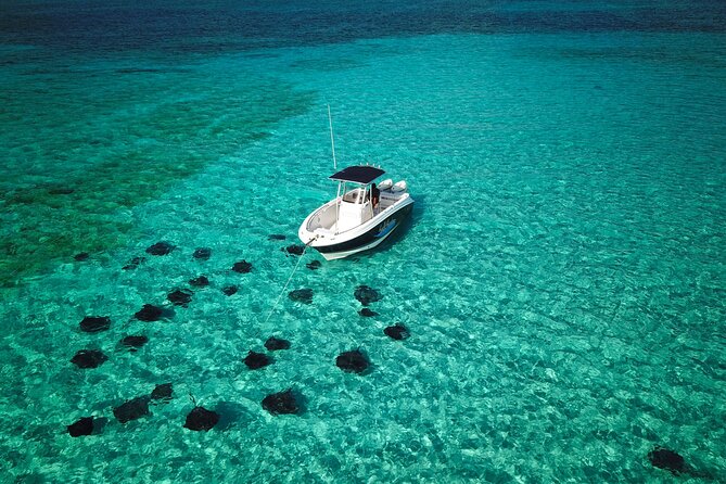Half Day Private Boat Charter in Grand Cayman - Snorkeling over Grand Cayman’s reefs