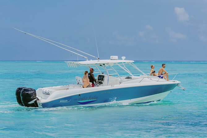 Half-Day Private Stingray City Charter - Grand Cayman - BTC - Why a private boat changes this Grand Cayman outing